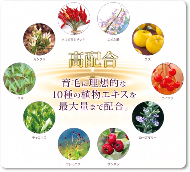 からんさの１０種類の植物エキスの画像